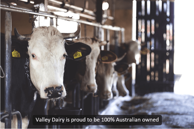 Universal Captions example - Valley Dairy